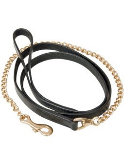 Longe de Présentation FWH