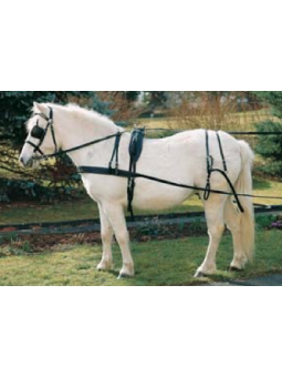 HARNAIS DE LOISIR SHET MINI PONEY