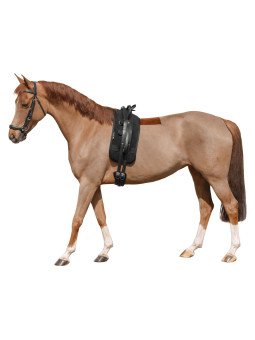 Surfaix De Voltige La Cavalière