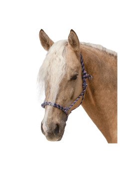 Licol Ethologique Shetland