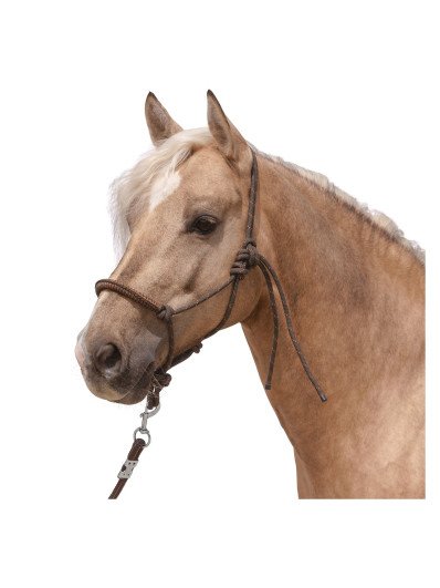 Accessoire Pour Cheval De Trait – Matériel D'équitation Ancien (occasion, Pour Collection Ou Réutilisation)