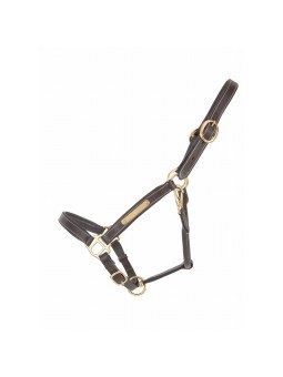 Licol cuir avec plaque à graver