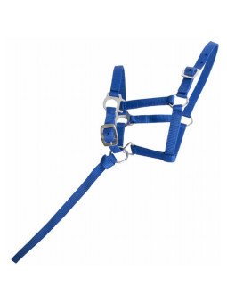 Licol foal synthétique