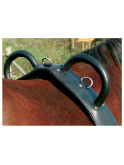 Surfaix De Voltige Fwh