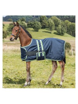 Couverture Poulain La Cavalière