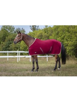 Chemise Polaire Equitheme Polyfun