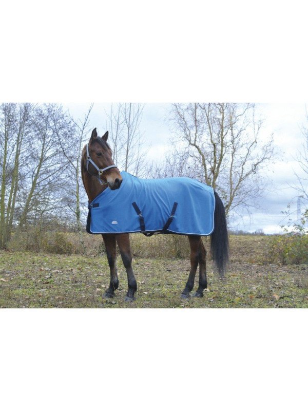 Chemise Polaire Equitheme Polyfun