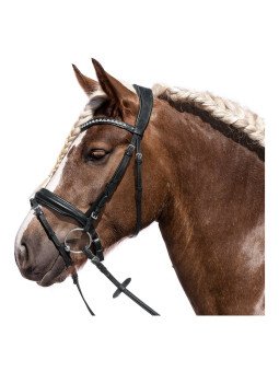 Bridon Trait Charlotte