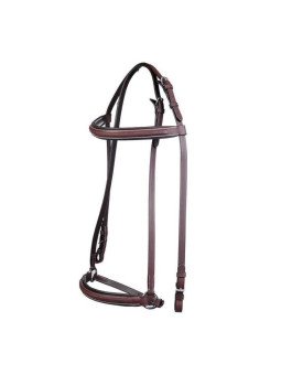 Bridon Cheval islandais Nature