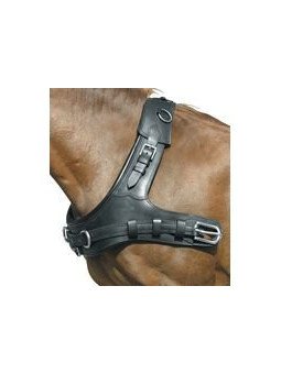 Collier Bricole Premium Simple Et Paire