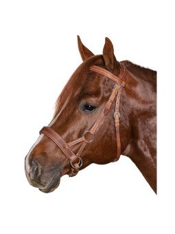 Side Pull Little Pony