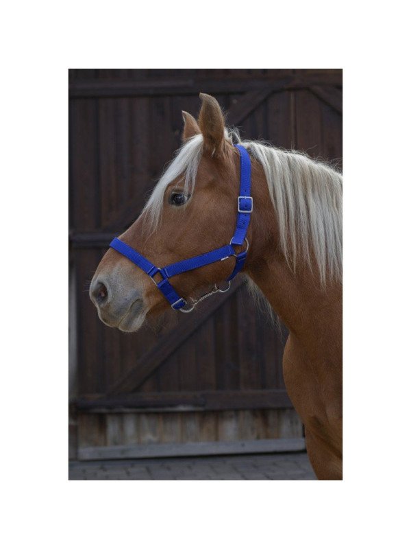Licol Norton Pro Cheval de Trait