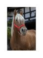 Licol Norton Pro Cheval de Trait