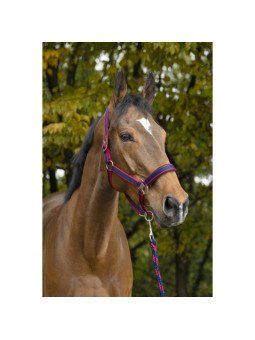 Licol Longe Equithème Satiné