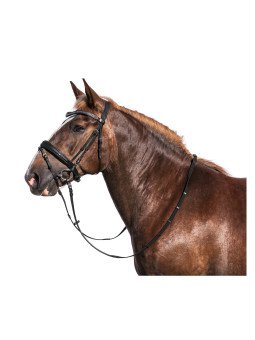 Bridon Cuir Trait Braga