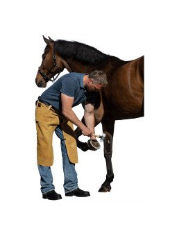 Tablier De Marechalerie