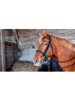 Bride De Dressage Pollock T de T