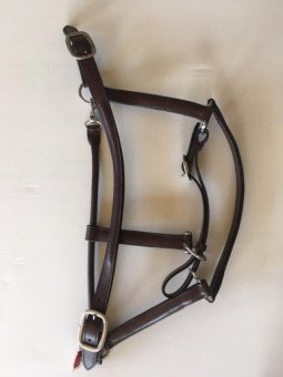 Licol Cuir Foal Mini Horse