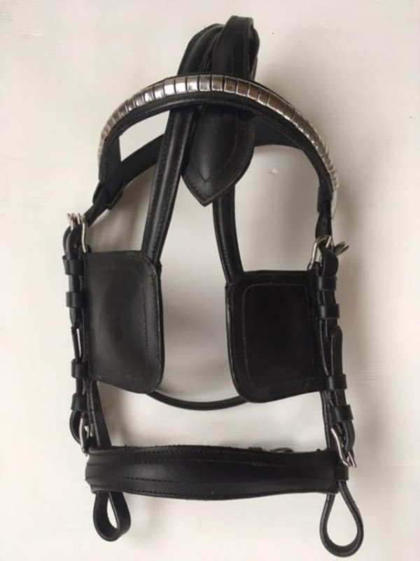 Bride D'Attelage Clincher Poney