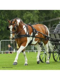 Harnais Zilco Tedex Trait En Simple