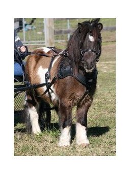 Harnais SL Sportz Zilco shetland