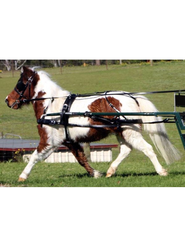 Harnais Zilco SL Mini Shet Shetland Poney