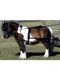 Harnais Zilco SL Mini Shet Shetland Poney