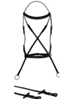 Bridon Bitless Collection W