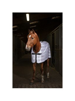 Chemise Equithème Mesh