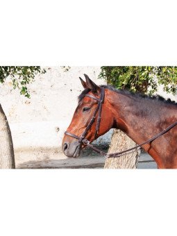 Bridon Bitless T de T