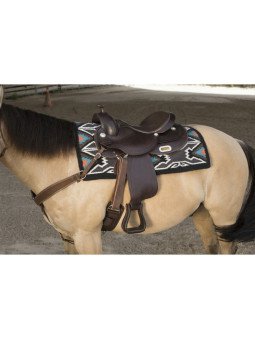 Selle Western Arvada