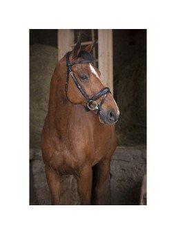 Bridon Norton Pro Soft