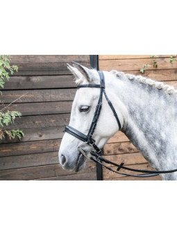 Bridon Pull Back T de T