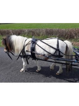 Harnais A Bricole Nylon Mini Shet Poney