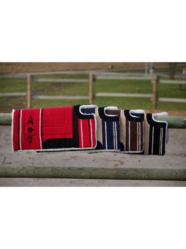 Tapis Western Navajo Nez Coupé