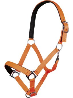 Licol Nylon Stars Cheval De Trait Violet