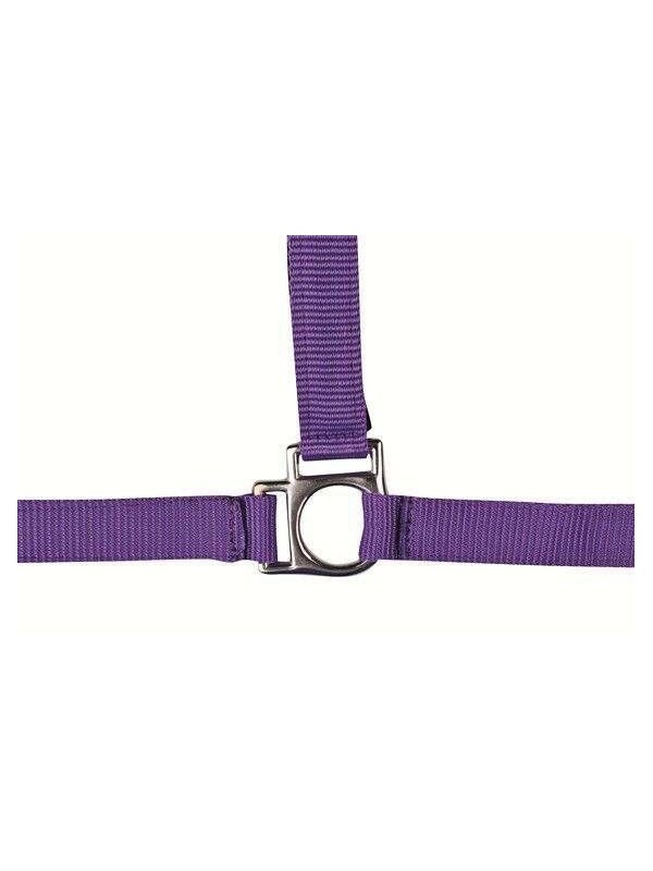 Licol Nylon Stars Cheval De Trait Violet