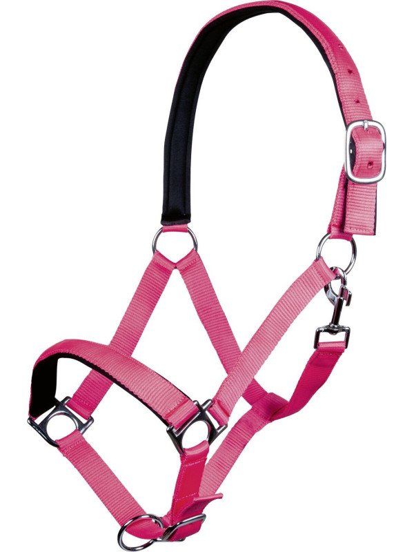 Licol Nylon Stars Cheval De Trait Violet