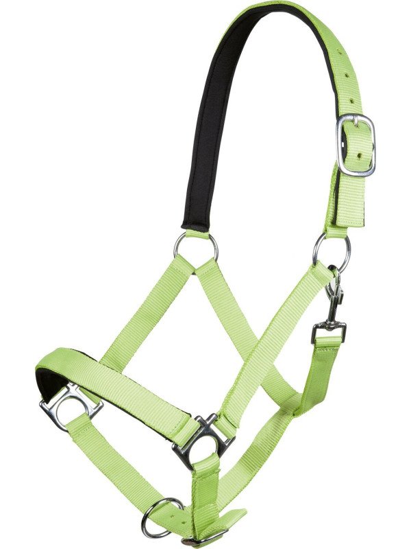 Licol Nylon Stars Cheval De Trait Violet