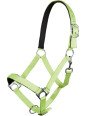 Licol Nylon Stars Cheval De Trait Violet