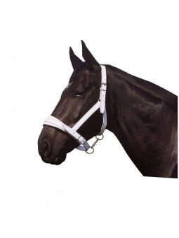 Licol Norton Cuir Blanc Cheval de Trait