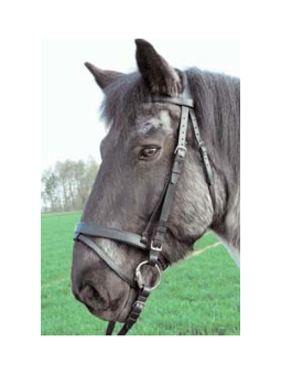 Bridon Cheval De Trait Strong