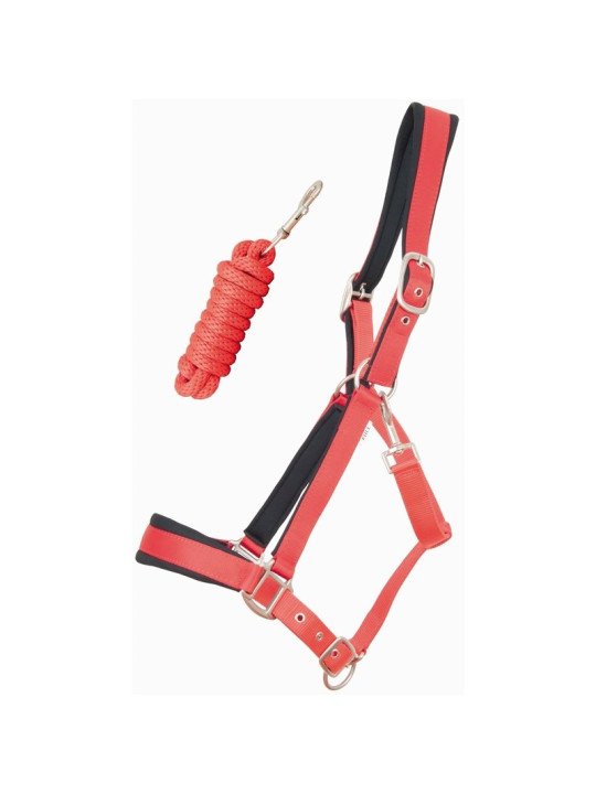 Licol Longe Satiné Doublé T de T