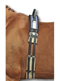 Surfaix D'apprentissage avec Poignée