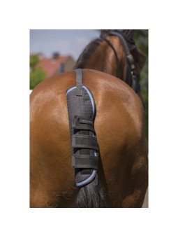 Promo Protege Queue Equitheme Tyrex 1200d