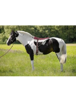 Tapis De Monte A Cru Norton