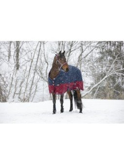 Couverture De Paddock Equithème Tyrex 1200 D Hiver 300 G 450 G