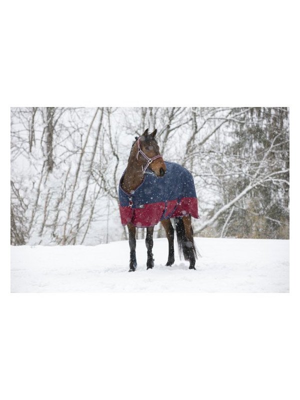 Couverture De Paddock Equithème Tyrex 1200 D Hiver 300 G 450 G