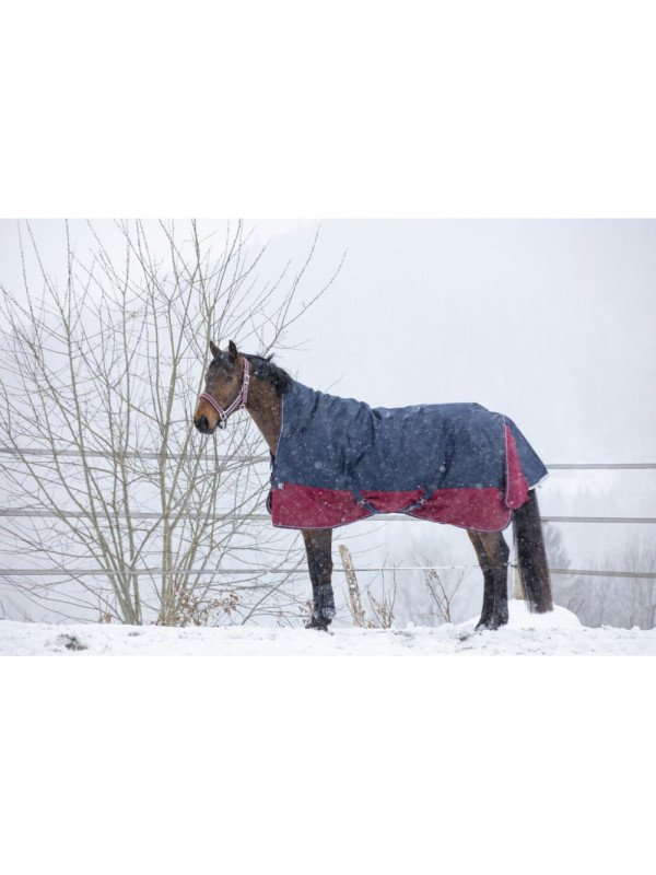 Couverture De Paddock Equithème Tyrex 1200 D Hiver 300 G 450 G