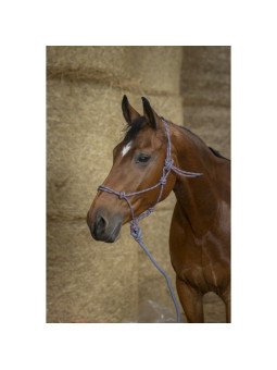 Licol Longe Ethologique Norton